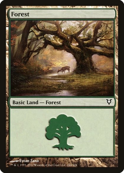 Forest (244), Avacyn Restored 244