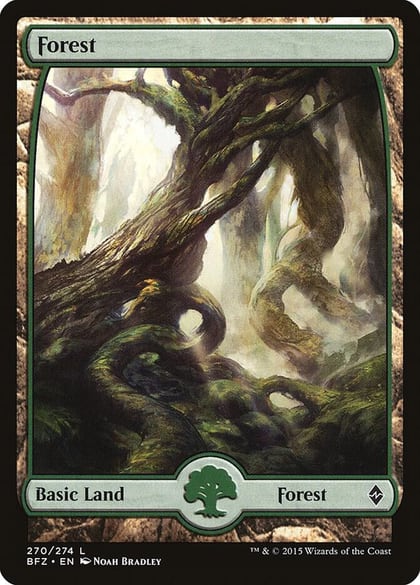 Forest (270) - Full Art, Battle for Zendikar 270