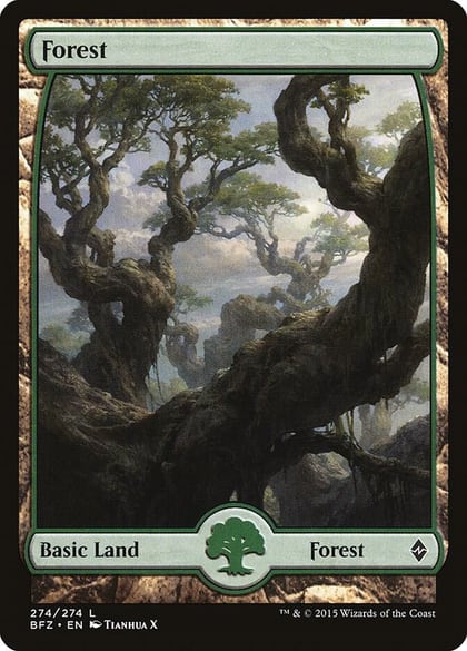 Forest (274) - Full Art, Battle for Zendikar 274