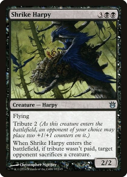 Shrike Harpy, Born of the Gods 83