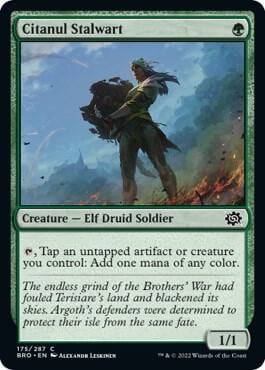 Citanul Stalwart, The Brothers' War 175
