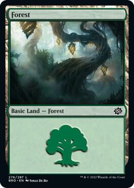 Forest (276), The Brothers' War 276