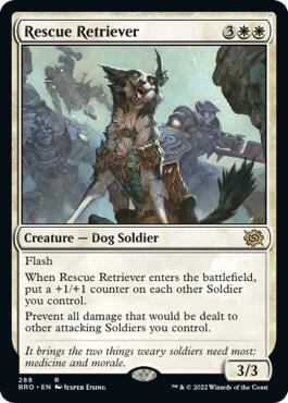 Rescue Retriever, The Brothers' War 288