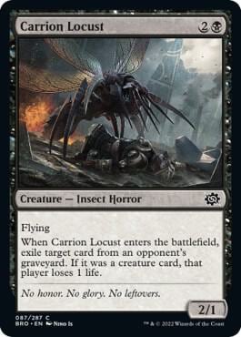Carrion Locust, The Brothers' War 87
