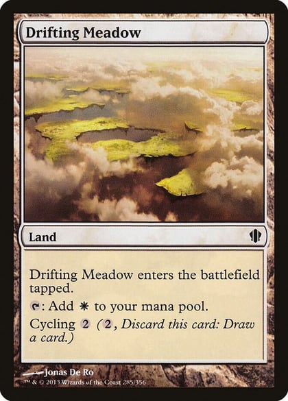 Drifting Meadow, Commander 2013 285