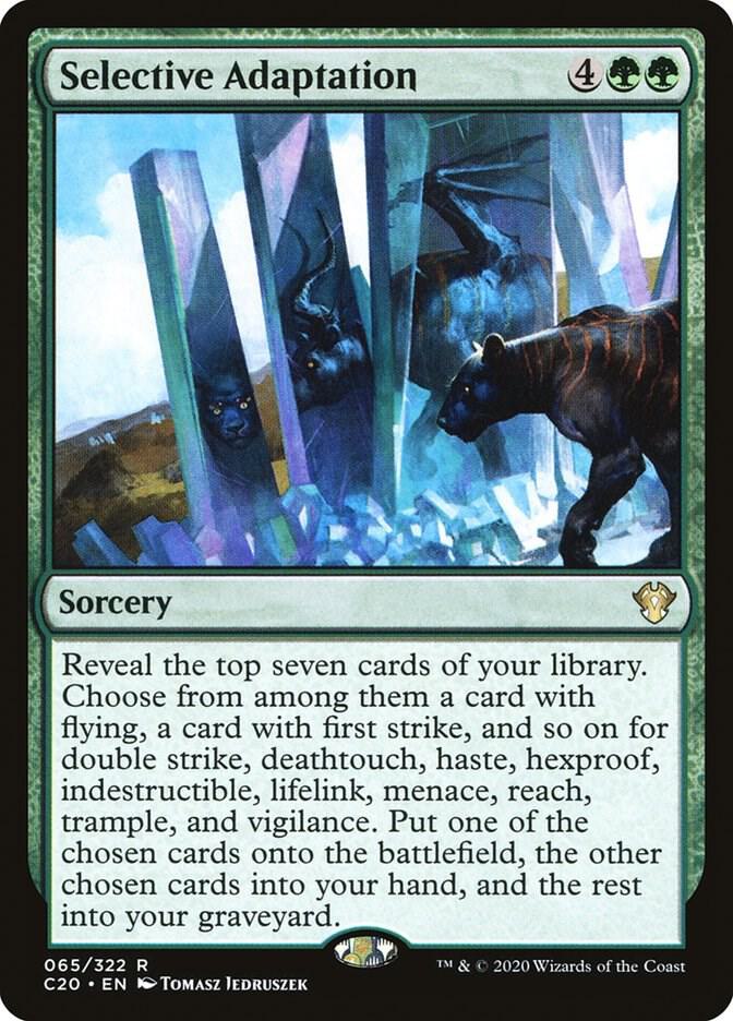 Selective Adaptation, Commander 2020 65