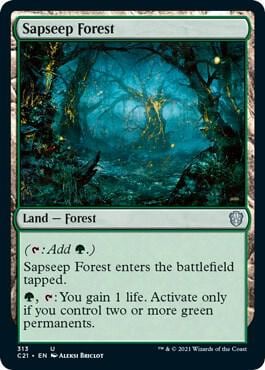 Sapseep Forest, Commander 2021 313