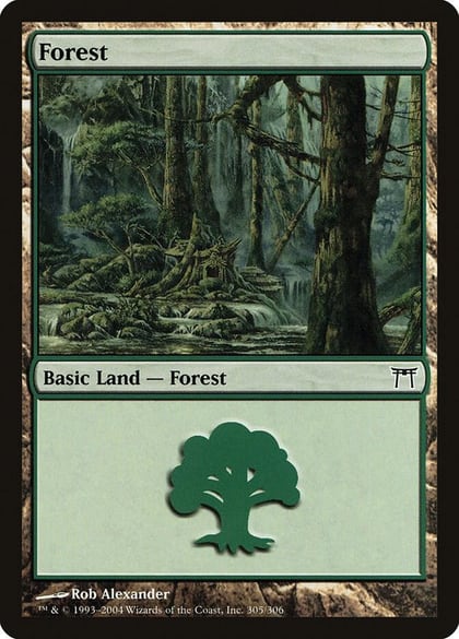 Forest (305), Champions of Kamigawa 305