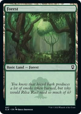 Forest (467), Commander Legends: Battle for Baldur's Gate 467