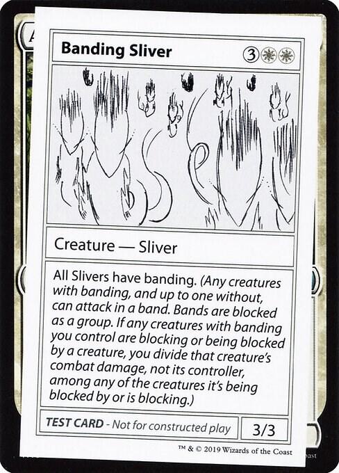 Banding Sliver (No PW Symbol), Mystery Booster: Convention Edition Exclusives #246947