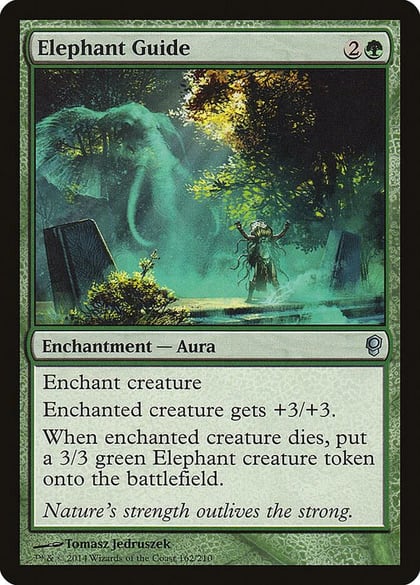 Elephant Guide, Conspiracy 162