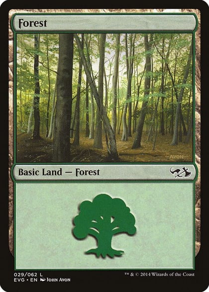 Forest (029) (EVG), Duel Decks: Anthology 29