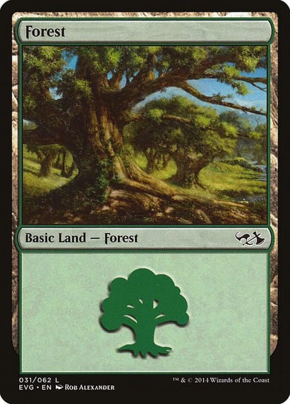 Forest (031) (EVG), Duel Decks: Anthology 31