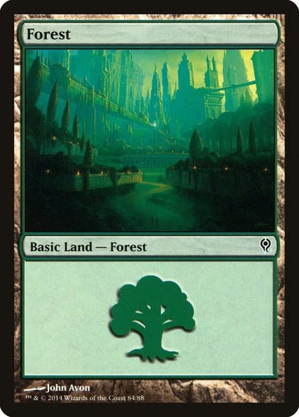 Forest (84), Duel Decks: Jace vs. Vraska 84