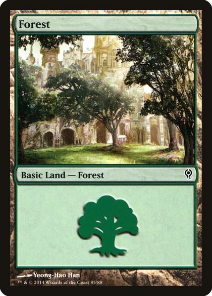 Forest (85), Duel Decks: Jace vs. Vraska 85