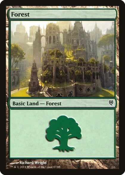 Forest (87), Duel Decks: Jace vs. Vraska 87
