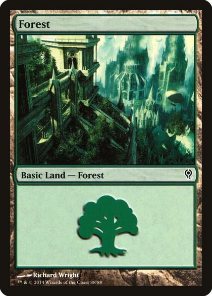 Forest (88), Duel Decks: Jace vs. Vraska 88