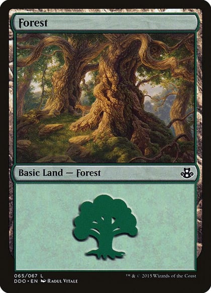 Forest (065), Duel Decks: Elspeth vs. Kiora 65