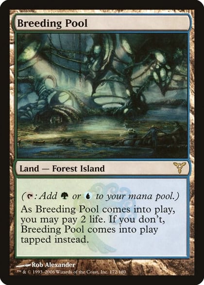 Breeding Pool, Dissension 172