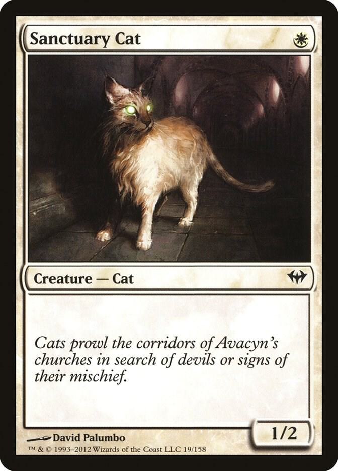 Sanctuary Cat, Dark Ascension 19