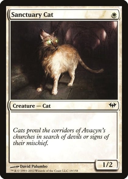 Sanctuary Cat, Dark Ascension 19