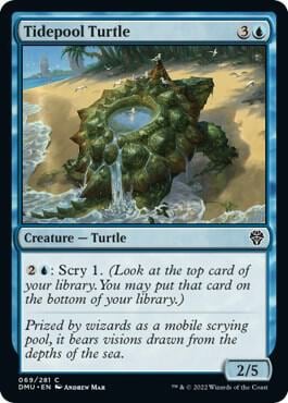 Tidepool Turtle, Dominaria United 69