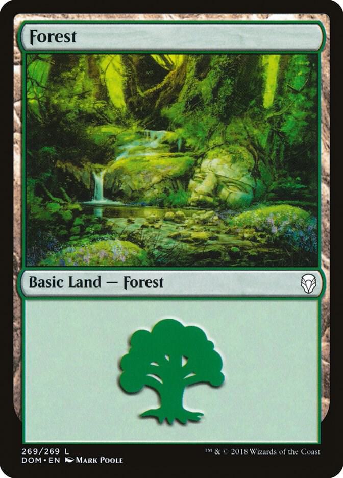 Forest (269), Dominaria 269