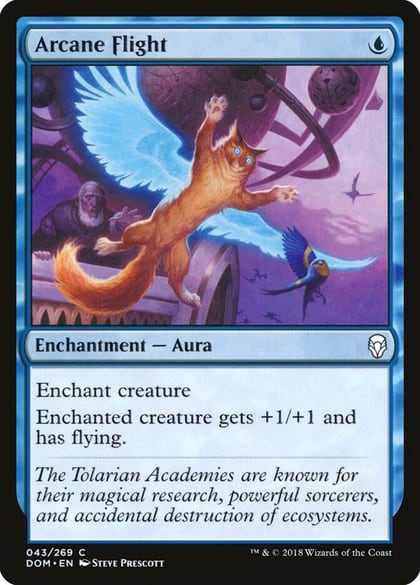 Arcane Flight, Dominaria 43