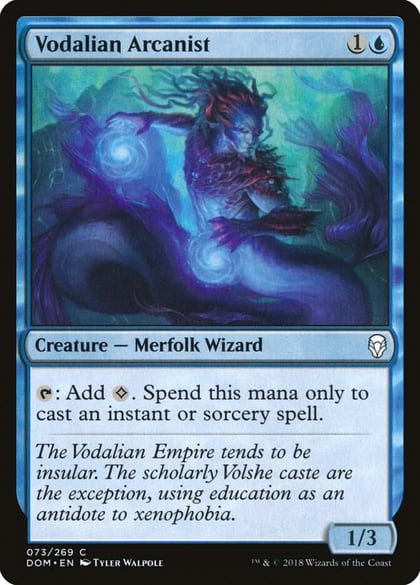 Vodalian Arcanist, Dominaria 73