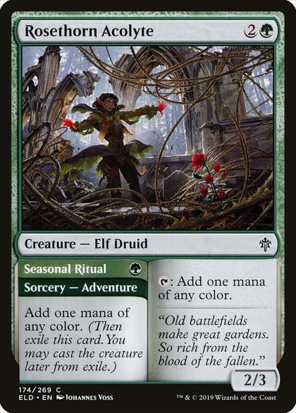 Rosethorn Acolyte, Throne of Eldraine 174