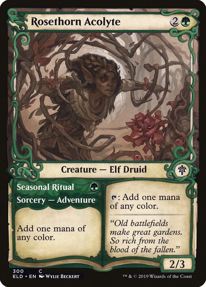 Rosethorn Acolyte (Showcase), Throne of Eldraine 300
