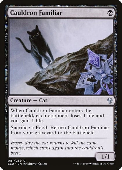 Cauldron Familiar, Throne of Eldraine 81