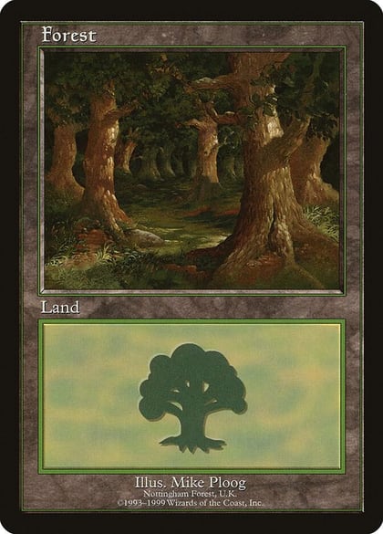 Forest - Nottingham, European Lands 11