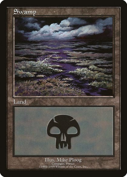 Swamp - Camargue, European Lands 15