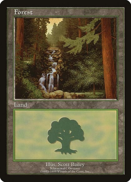 Forest - Schwarzwald, European Lands 1