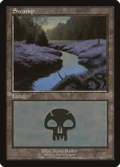 Swamp - Ardennes Fagnes, European Lands 5