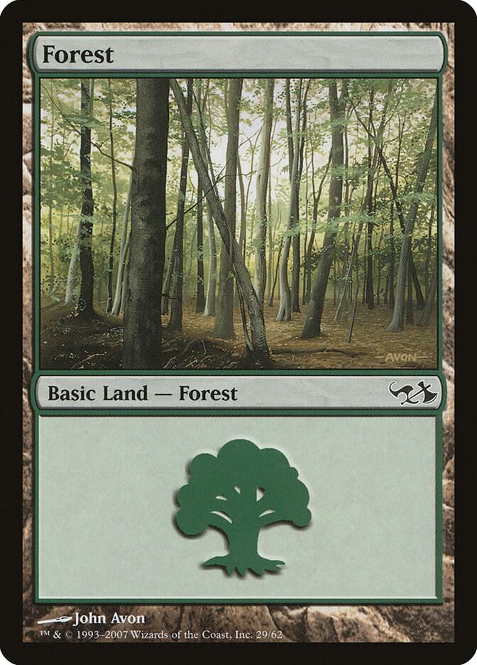 Forest (29), Duel Decks: Elves vs. Goblins 29