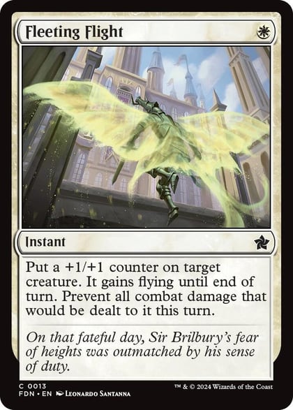 Fleeting Flight, Foundations 13