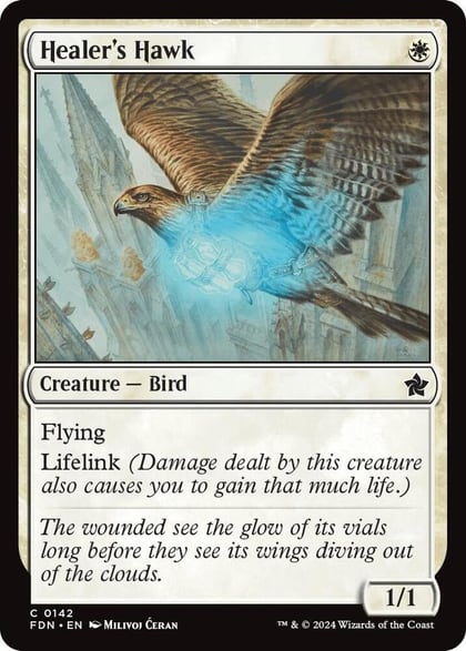 Healer's Hawk (0142), Foundations 142