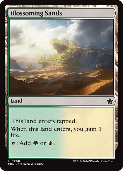 Blossoming Sands, Foundations 260