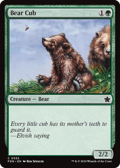 Bear Cub, Foundations 552