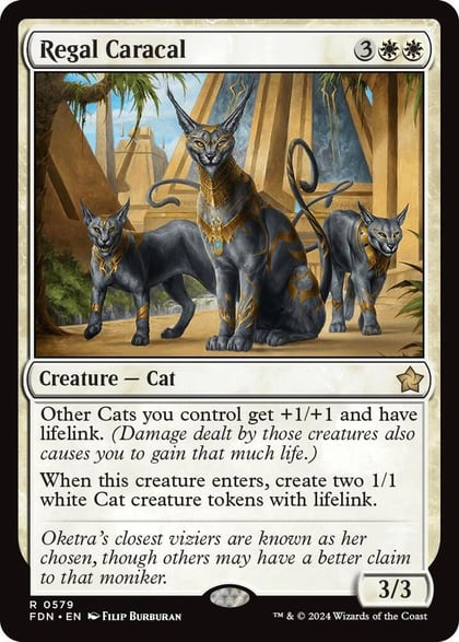 Regal Caracal, Foundations 579