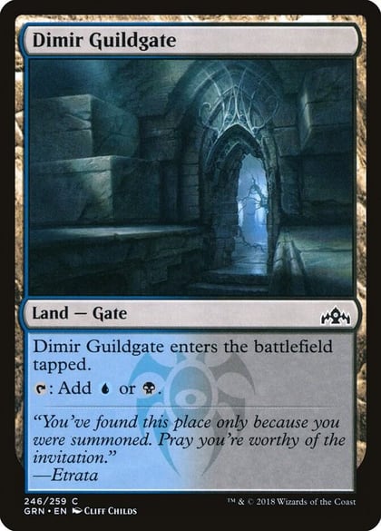 Dimir Guildgate (246), Guilds of Ravnica 246