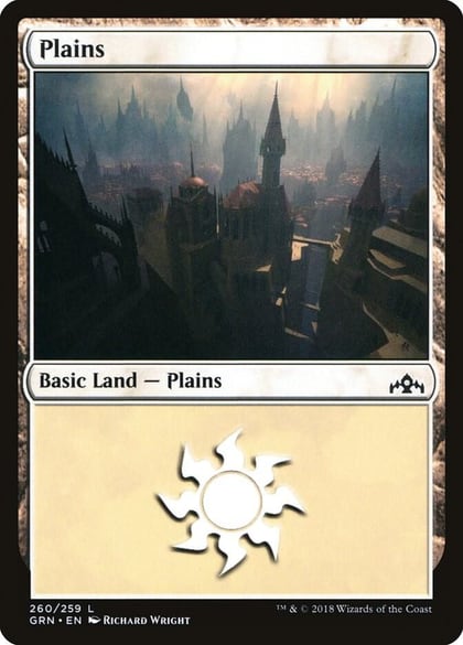 Plains, Guilds of Ravnica 260