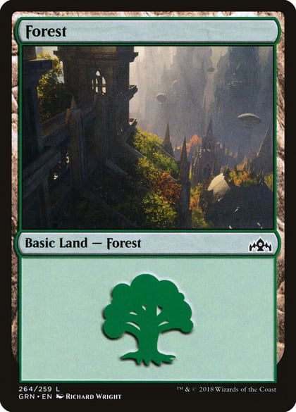 Forest, Guilds of Ravnica 264