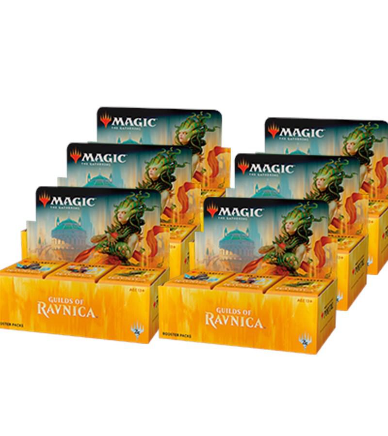 Guilds of Ravnica - Booster Box Case, Guilds of Ravnica P173363