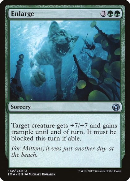 Enlarge, Iconic Masters 162