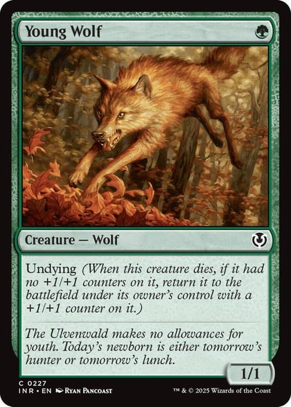 Young Wolf, Innistrad Remastered 227