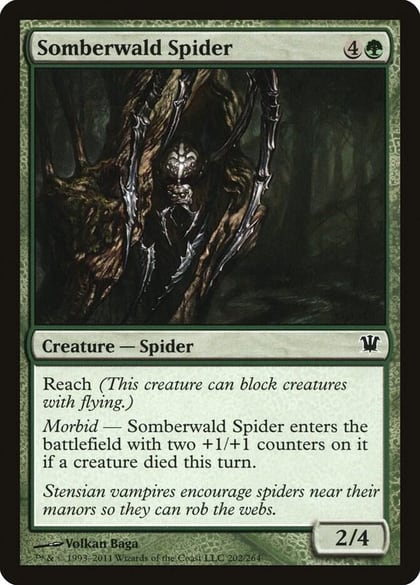 Somberwald Spider, Innistrad 202