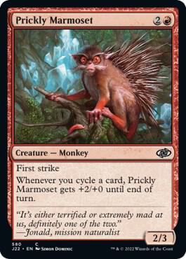 Prickly Marmoset, Jumpstart 2022 580